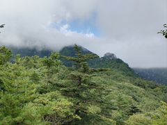 -牛背梁国家森林公园