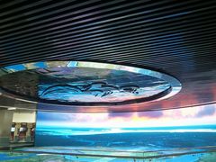 -三五九旅屯垦纪念馆