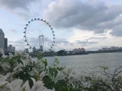 -新加坡摩天观景轮