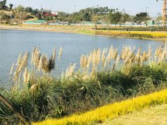 -星巴克(成都科学城店)