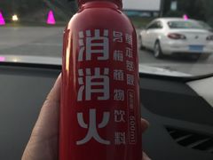 -枫花园汽车电影院(朝阳公园店)