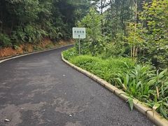 -广州市石门国家森林公园