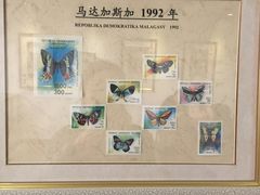 -上海昆虫博物馆