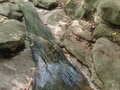 -燕晗山郊野公园