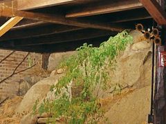 -北京水岸山吧度假村(雁栖镇店)