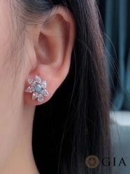 -VE DIAMOND·天然&培育钻石定制