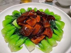 -蝶园·装修中(BFC外滩金融中心店)