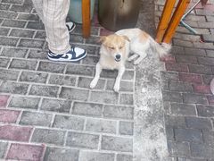 -老四川小龙虾(交通三巷步行街店)