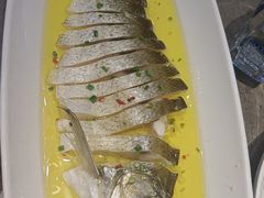 鸡汁大白鱼-邑金陵北京烤鸭店·现炒家常菜(ITC MALL店)