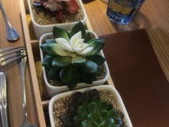 -必胜客(花舞大唐博物馆店)