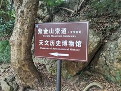 -紫金山山顶公园