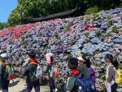-苏州上方山国家森林公园