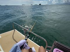 -小猫钓鱼海钓俱乐部(椰梦长廊店)