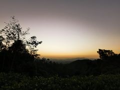 -火炉山森林公园