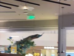 -雀蓝川菜(滨湖万象汇店)
