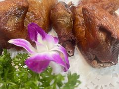 -鸽鸟轩(石岐店)