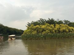 -大湾区中央湿地公园
