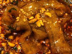 -镇江龙·火锅串串(武侯祠店)