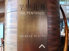-广州富力君悦大酒店空中花园