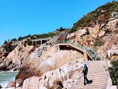 -广东惠东海龟国家级自然保护区