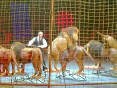 -珠海横琴长隆《卡卡虎奇遇记》