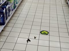 -世纪联华超市(浦电路店)