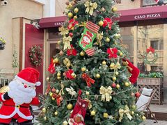 -天津五大道文化旅游区