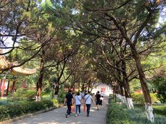 -南岳衡山风景名胜区-南岳大庙