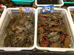 -大京园海鲜烧烤(东城路店)