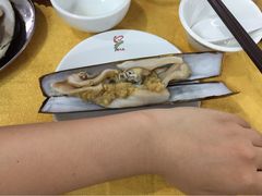 蚝-蚝专家(北滘店)