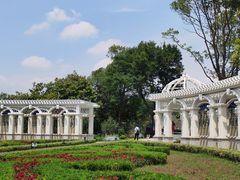 -上海鲜花港