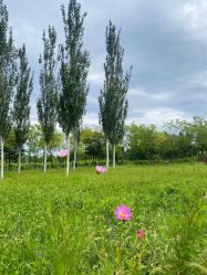 -Oasis Beauty水磨坊科技美肤中心