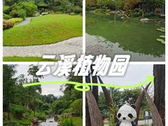 -云溪植物园