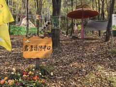 -帽儿山风景区