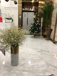 大厅-3AM HAIR SALON烫发染发接发