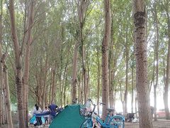 -丁香湖公园