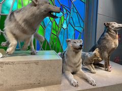 -上海博物馆(人民广场馆)