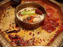 -蜀九香火锅(彩虹店)