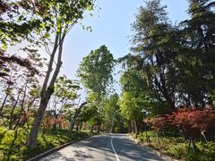 -吴淞炮台湾湿地森林公园烧烤区