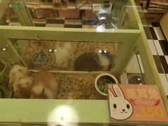 -龙猫仔乐园(惠福东路店)