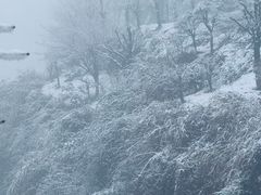 -四明山国家森林公园