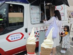 -富豪雪糕车流动点(尖沙咀店)