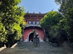 -铁山坪森林公园