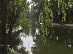-钓鱼台国宾馆