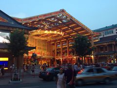 刘老根大舞台(东岭南街店)-刘老根大舞台-长春旗舰店