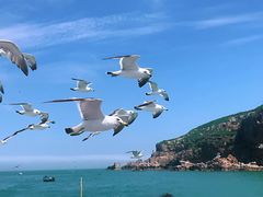-海驴岛(荣成市)
