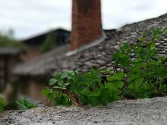-景德镇陶阳里历史文化旅游区