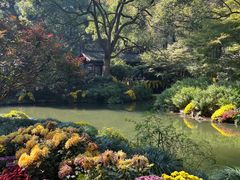 -杭州植物园