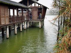 -溱湖国家湿地公园