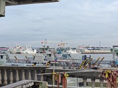 -长洲岛